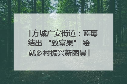 方城广安街道：蓝莓结出 “致富果” 绘就乡村振兴新图景